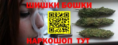 молекула духа Будённовск