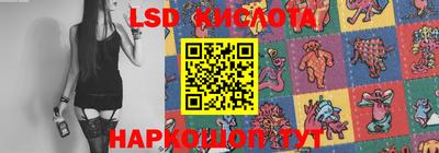 молекула духа Будённовск