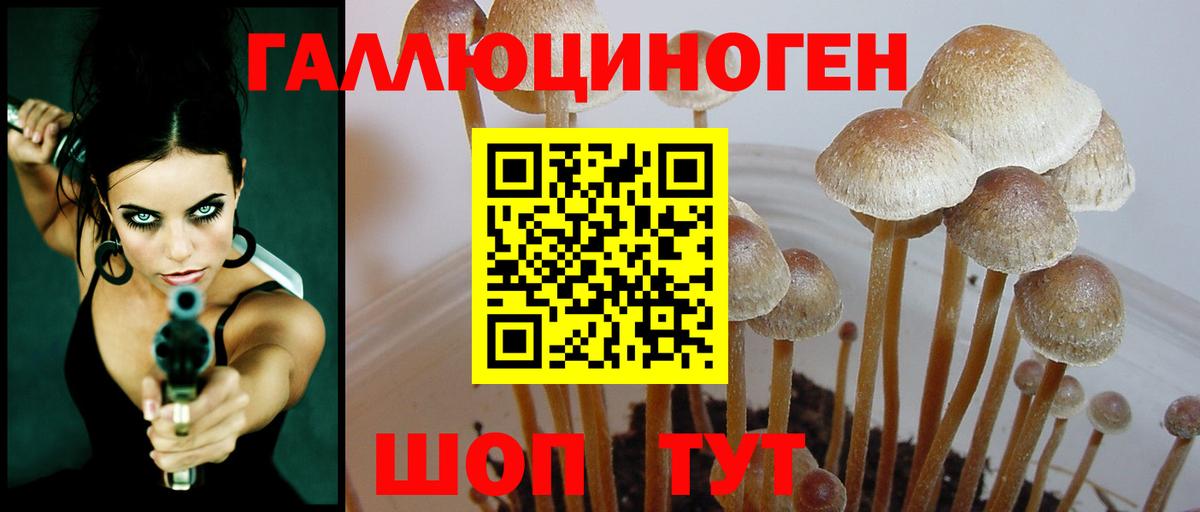 Галлюциногенные грибы прущие грибы Лангепас